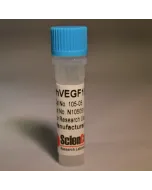 Recombinant Human VEGF165, rhVEGF165