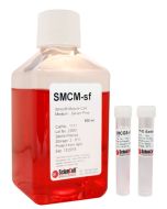 Smooth Muscle Cell Medium-serum free