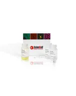 SpeeDNA Gel Extraction Kit, 250 preps
