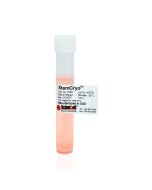 StemCryo™, 5 x 10mL