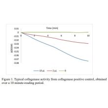 Collagenase Activity Assay (CAA) | Sciencell