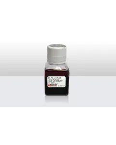 Alizarin Red S Staining Kit