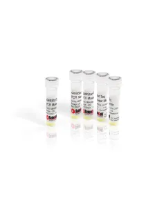 Fig 1. CitriNStart Taq PCR Master Mix, 2x, 5 mL
