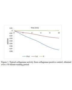 Figure 1. Typical collagenase activity from collagenase positive control, obtained
over a 10 minute-reading period.