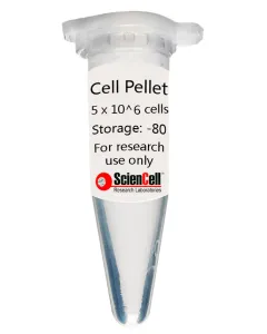 Human Cardiac Fibroblast Cell Pellet   