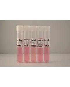 Human Pluripotent Stem Cell Cryopreservation Medium (5 x 10 ml), StemCryo®