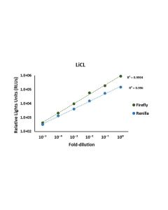 Luciferase Assay Kit