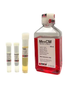 Mesothelial Cell Medium