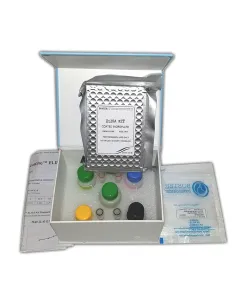 Mouse IL-2 ELISA Kit 