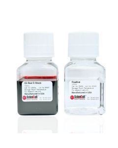 Oil Red O Staining Kit