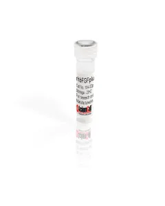 Recombinant Human Basic Fibroblast Growth Factor Plus