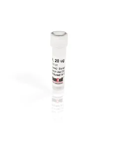 Recombinant Human Growth Hormone (rhGH)