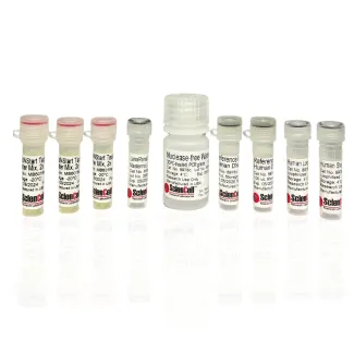 人类线粒体 DNA 损伤定量 qPCR 检测试剂盒