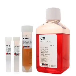 Chondrocyte Medium