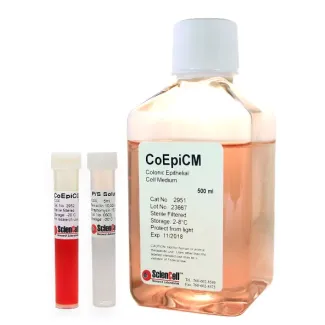 Colonic Epithelial Cell Medium