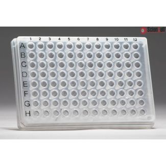 GeneQuery™ 人类细胞衰老 qPCR 芯片试剂盒