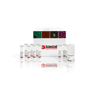 GeneQuery™ HLA-A PCR+Sanger SBT Typing Kit 