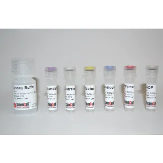 Hexokinase Assay