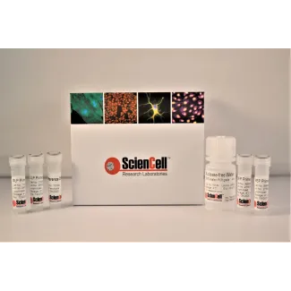 Human ELOVL2 Promoter and Global DNA  Dual Methylation Quantification qPCR Assay Kit