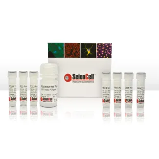 Human Stem Cell Pluripotency Detection qPCR Kit
