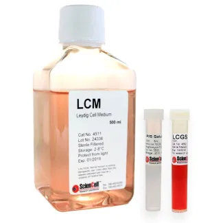 Leydig Cell Medium