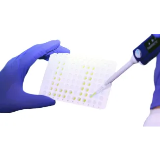 Lyophilized GoldNStart TaqGreen qPCR Master Mix