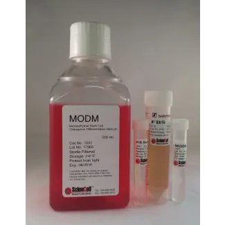 Mesenchymal Stem Cell Osteogenic Differentiation Medium (MODM)
