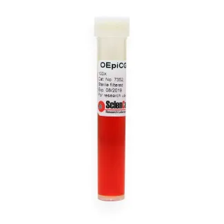 Ovarian Epithelial Cell Growth Supplement