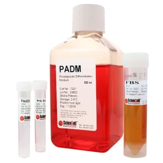 Preadipocyte Differentiation Medium