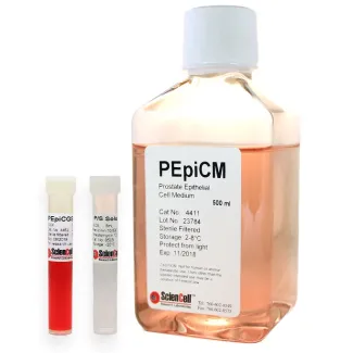 Prostate Epithelial Cell Medium