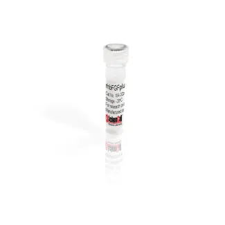 Recombinant Human Basic Fibroblast Growth Factor Plus