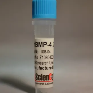 Recombinant Human Bone Morphogenetic Protein-4