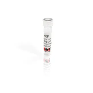 Recombinant Human Epidermal Growth Factor