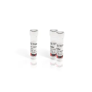 Recombinant TEV Protease with 20X TEV Protease Buffer