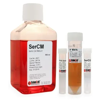 Sertoli Cell Medium
