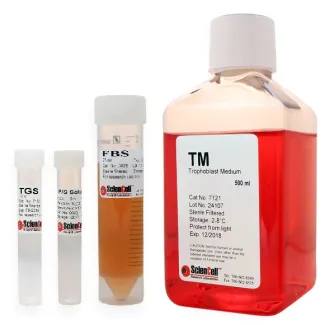 Trophoblast Medium