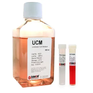 Urothelial Cell Medium