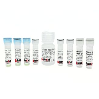 人类核 DNA 损伤定量 qPCR 检测试剂盒