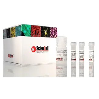 人类线粒体 DNA 拷贝数绝对定量 qPCR 检测试剂盒