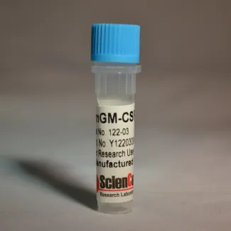 重组小鼠粒细胞-巨噬细胞集落刺激因子