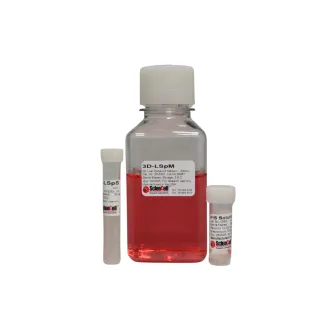 3D-Liver Spheroid Medium