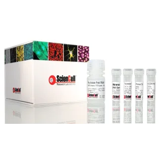 Absolute Human Telomere Length and Mitochondrial DNA Copy Number Dual Quantification qPCR Assay Kit