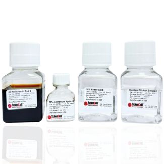 Alizarin Red S Staining Quantification Assay
