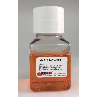 Astrocyte Conditioned Medium-Serum Free