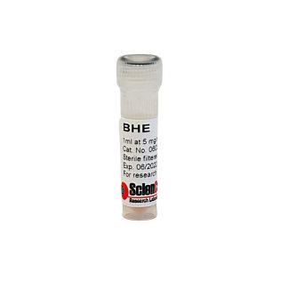 Bovine Hypothalamus Extract 10 mg/ml; 1 ml