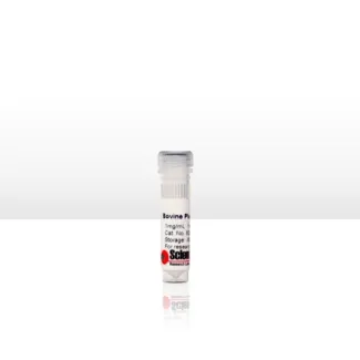 Bovine Plasma Fibronectin
