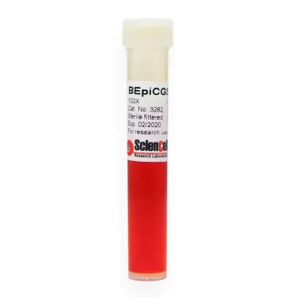 Bronchial Epithelial Cell Growth Supplement