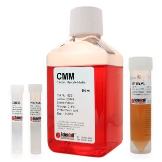 Cardiac Myocyte Medium