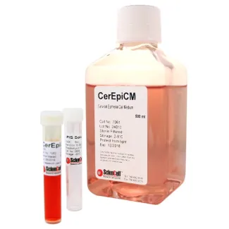 Cervical Epithelial Cell Medium