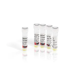 Fig 1. CitriNStart Taq PCR Master Mix, 2x, 5 mL
